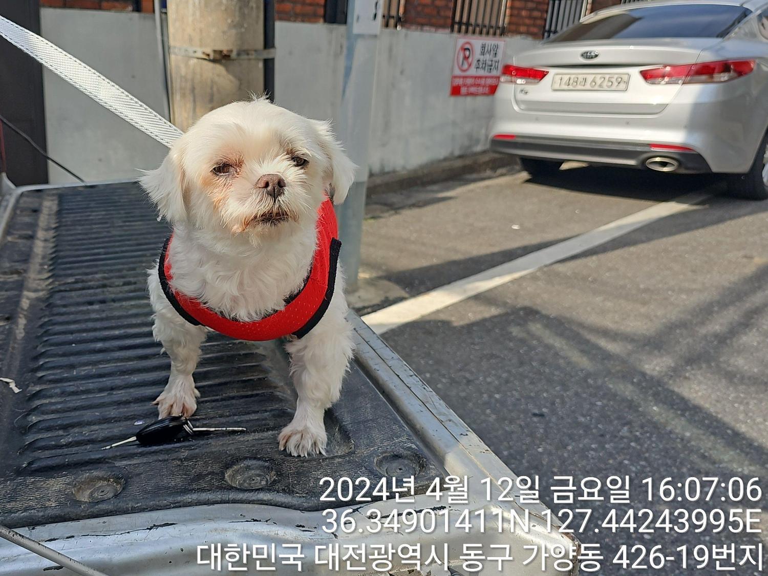 대전동물보호센터_430364202400091